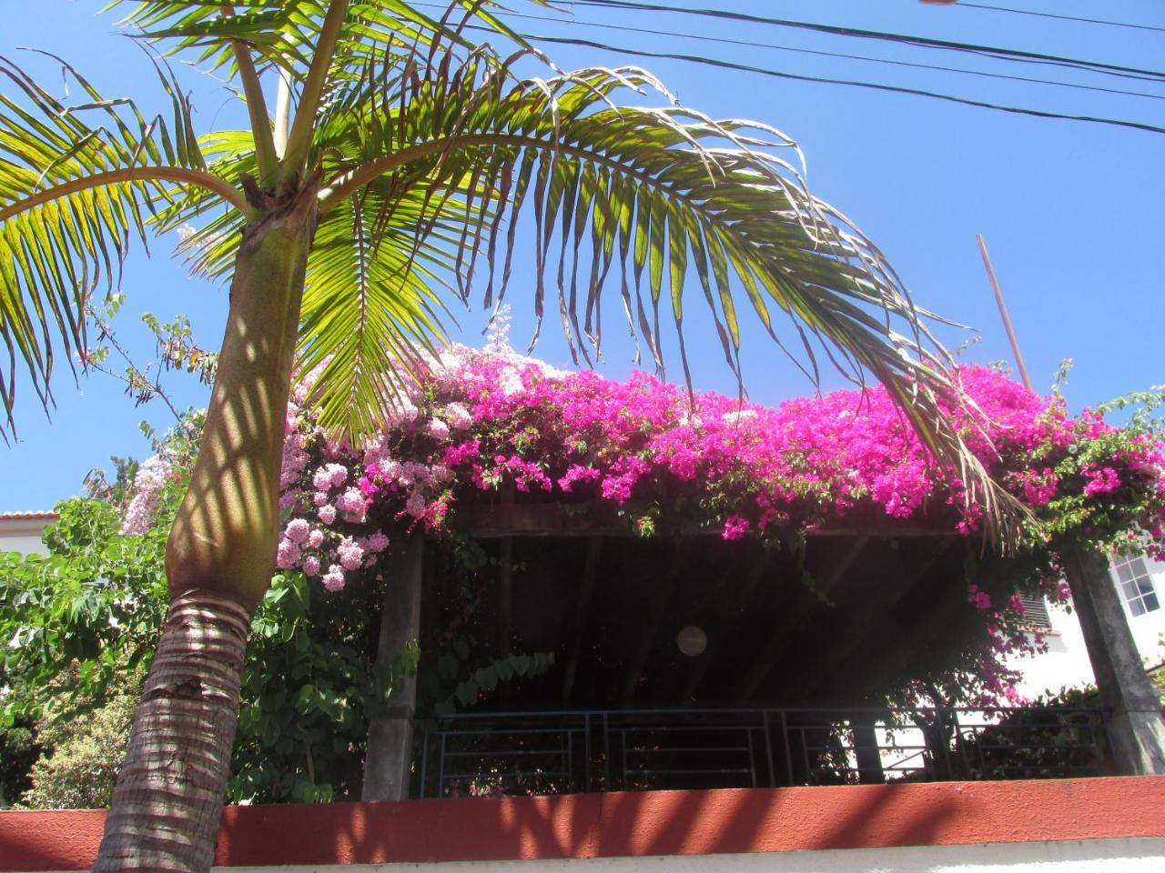 Apartments Vista Oceano Funchal (Madeira) Exterior foto
